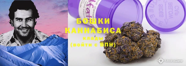 apvp Инсар