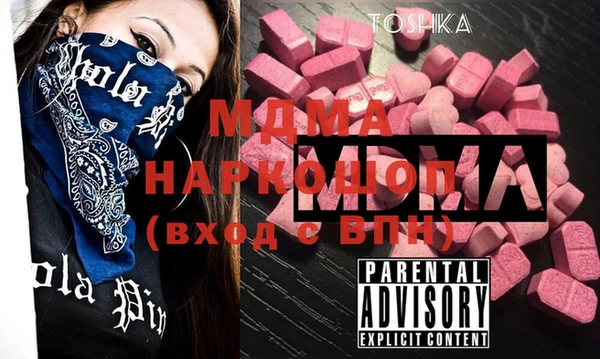 apvp Инсар