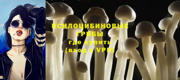 apvp Инсар