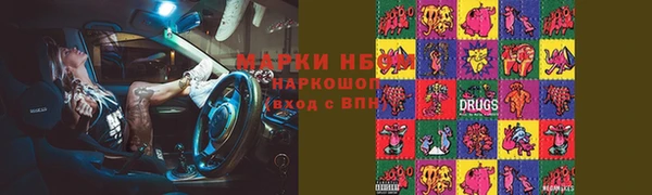 тгк Инта