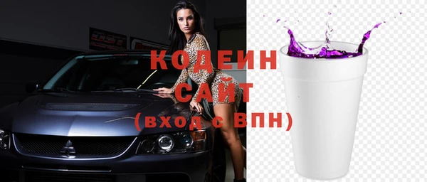 apvp Инсар
