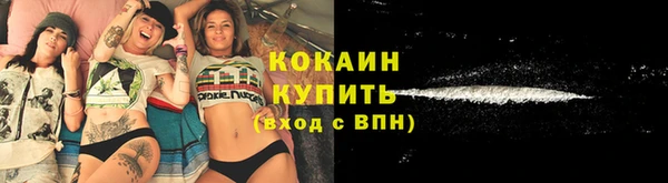 apvp Инсар