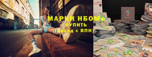 apvp Инсар