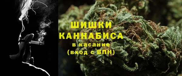 apvp Инсар