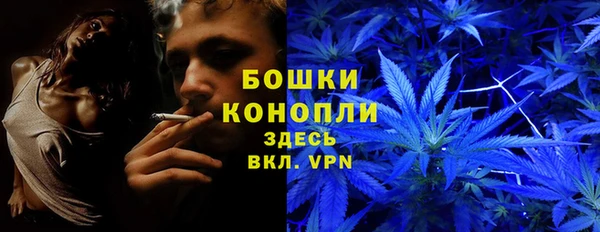 тгк Инта