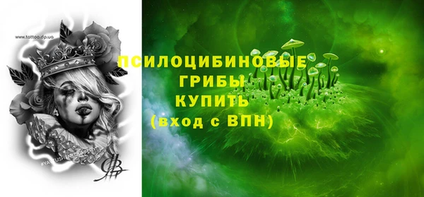 тгк Инта