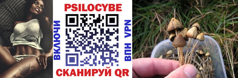 Псилоцибиновые грибы Psilocybine cubensis  Купить  Снежинск 